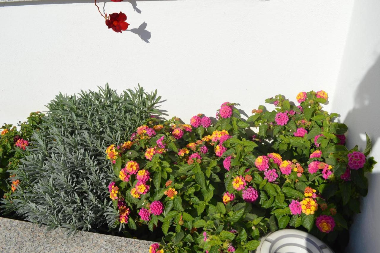 Bed And Breakfast Villa Tota Catanzaro Exterior foto